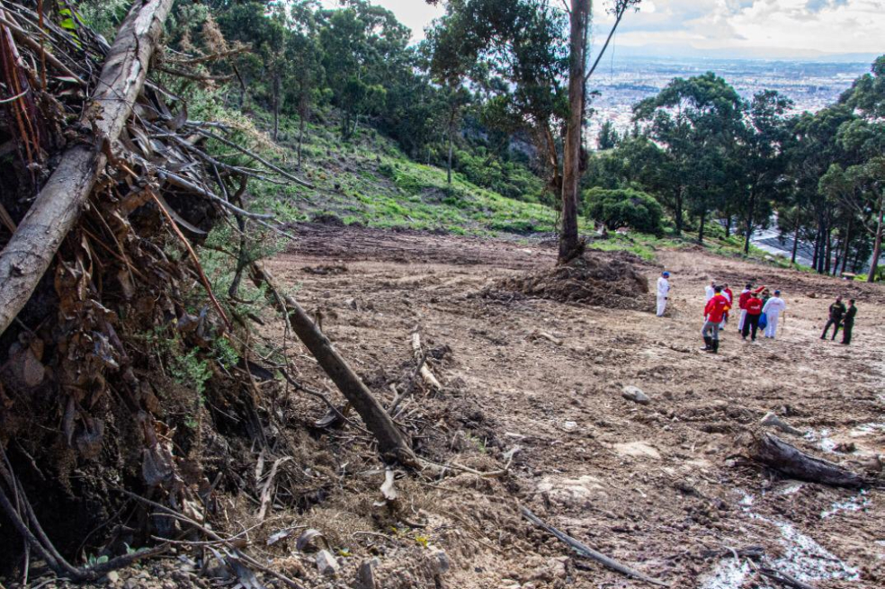 Capturan a dos personas por deforestación ilegal, en los Cerros Orientales de Bogotá
