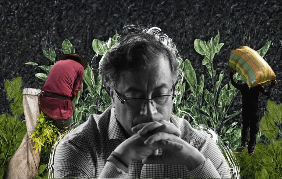 El dilema sobre si grupos armados deben “pagar” la erradicación de coca tensa a la paz total