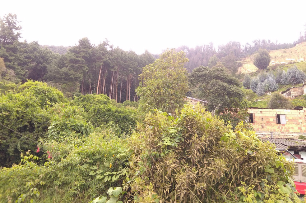 Dueños de casas en los cerros orientales de Bogotá deberán pagar tasa compensatoria