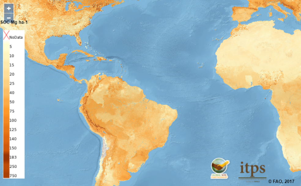 Un mapa muestra la cantidad de reservas de carbono del suelo en el mundo