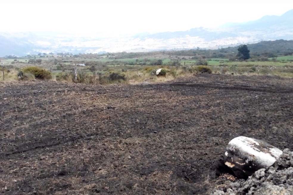 El subpáramo La Parada del Viento, en Usme, está siendo quemado. /Cortesía