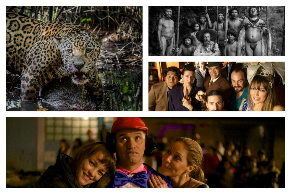 Top 10: películas colombianas más vistas en 2015