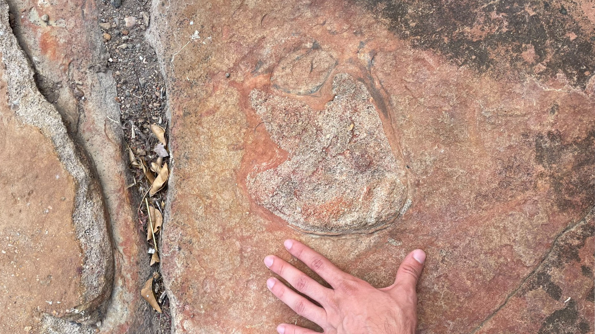 Descubren arte rupestre de más de 9 mil años entre huellas de dinosaurio en Brasil