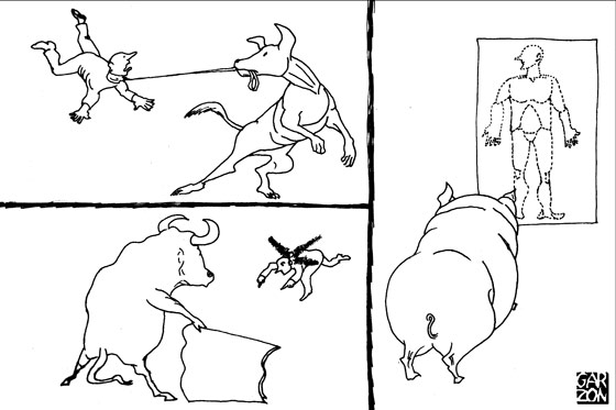 Cartones de Garzón
