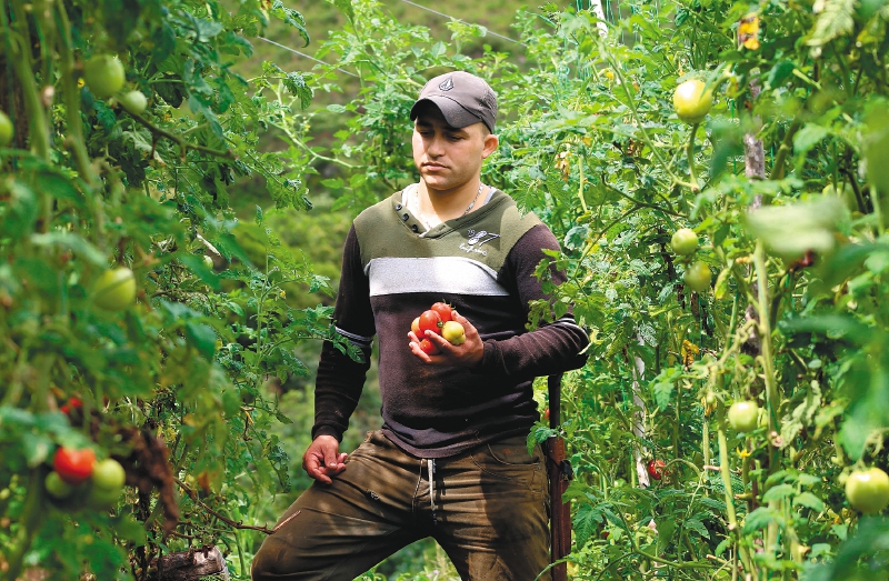 En Ituango, los jóvenes le apuestan al campo y se blindan contra la violencia