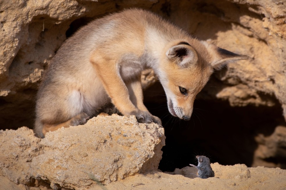 Negociaciones difíciles: esta fotografía fue tomada en Israel.