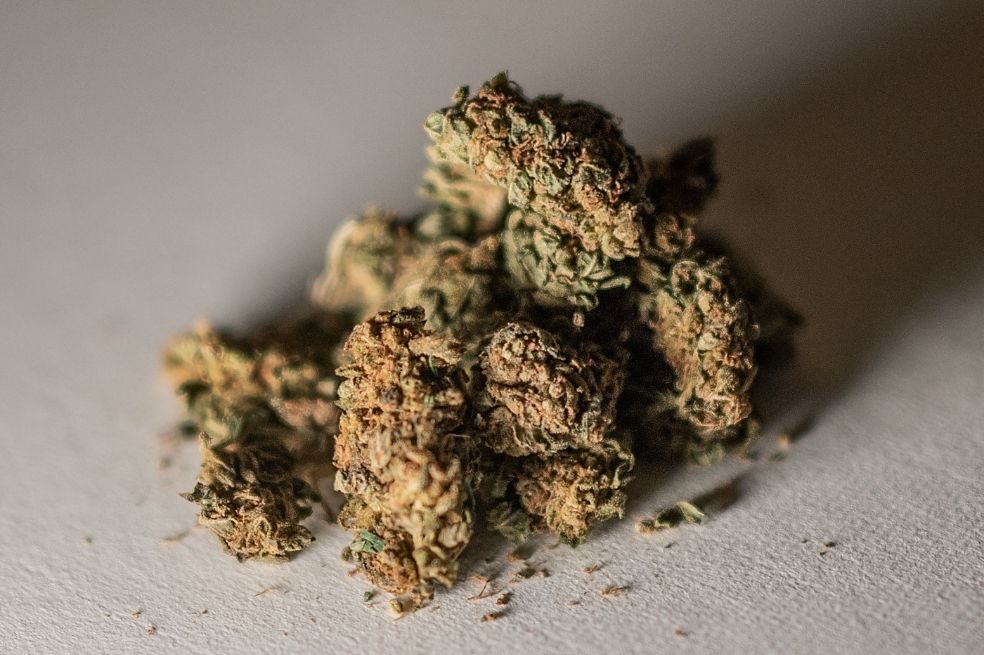Nueva Jersey aprobó el uso recreativo de la marihuana y creará una industria millonaria