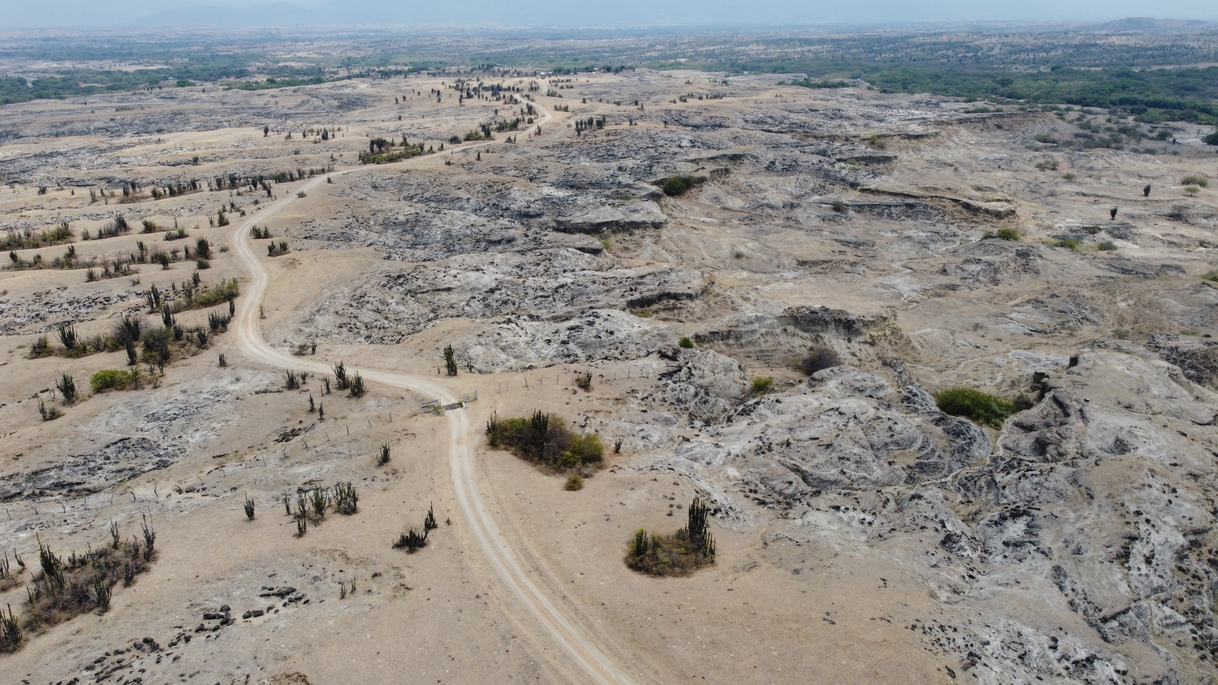 Planes en La Tatacoa: nuevo sitio que es Patrimonio Geológico del Mundo