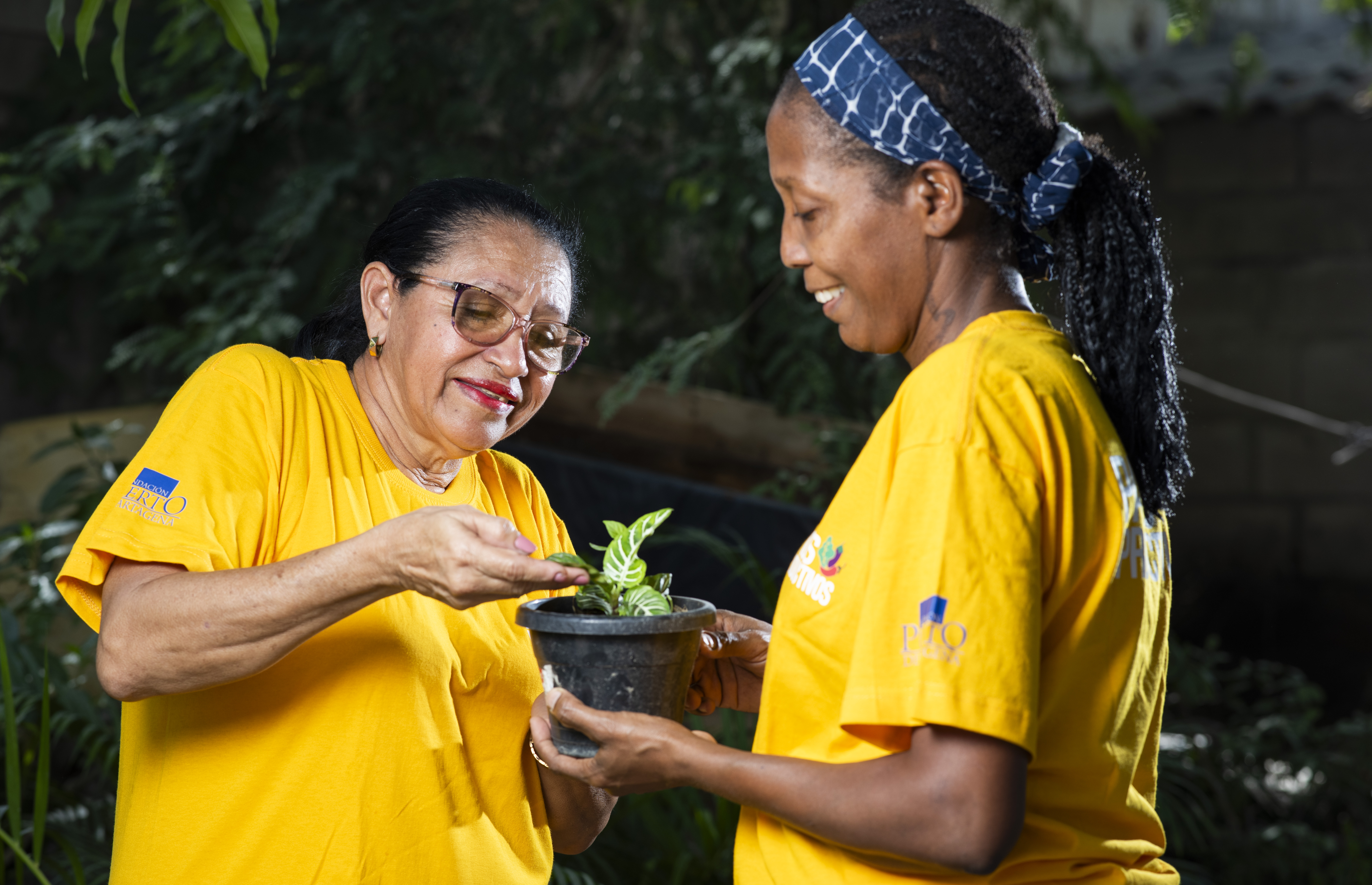 La Fundación Puerto de Cartagena cumple veinte años apostándole al desarrollo social.