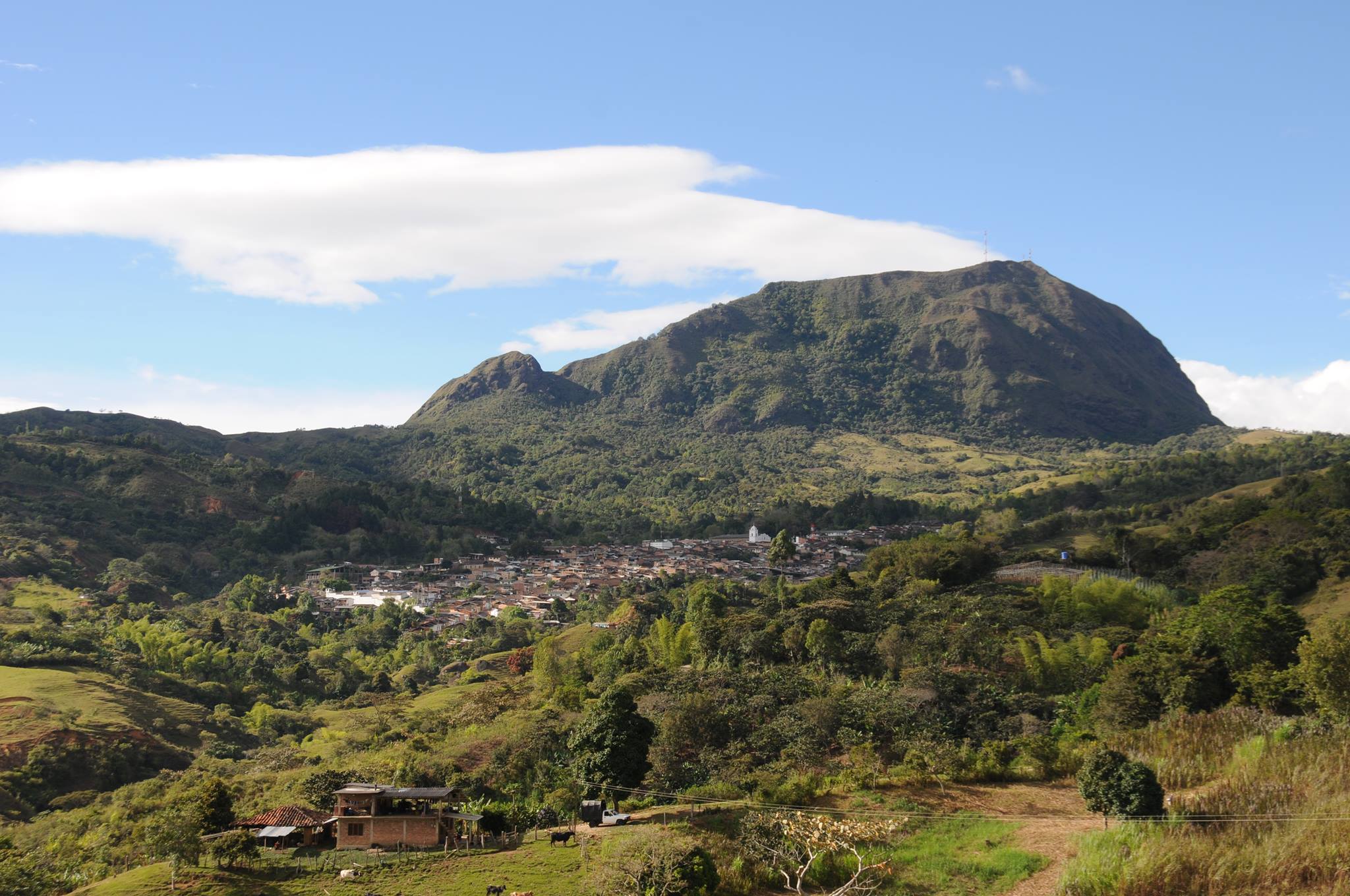 Asesinaron a dirigente del Pacto Histórico en Bolívar, Cauca