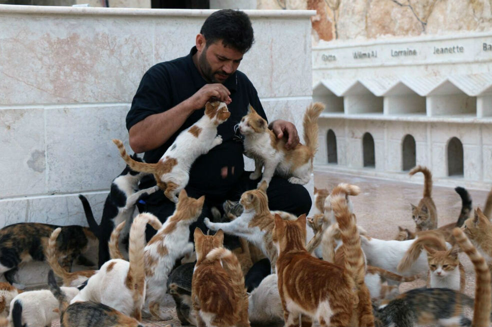 La casa de los gatos en Alepo (Siria)