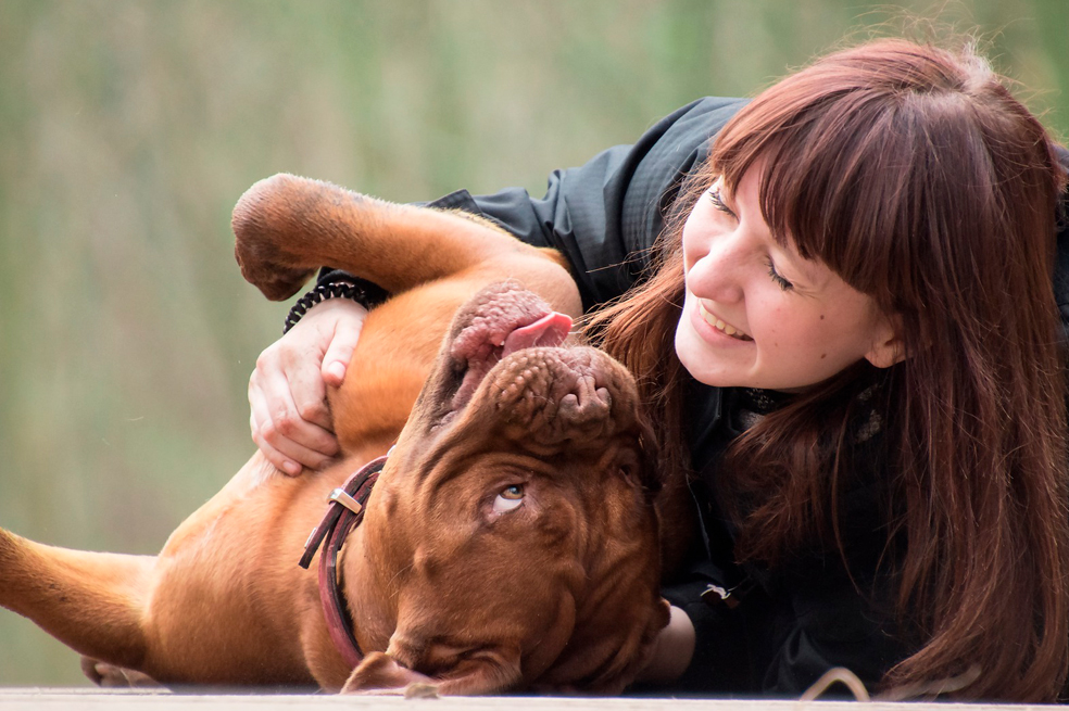¿Por qué los perros lamen a las personas?