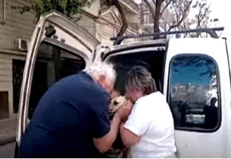 El emotivo reencuentro de un hombre con su mascota robada: “Sin mi perra no vivo”