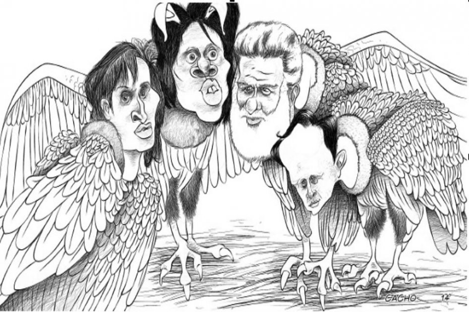 Nueva especie de ave migratoria