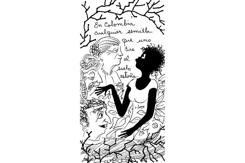 Nieves