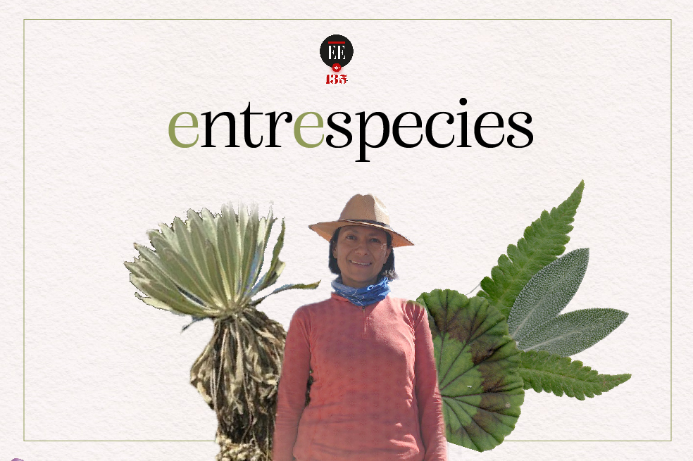 La abogada de los páramos que lucha por la justicia climática | Entrespecies