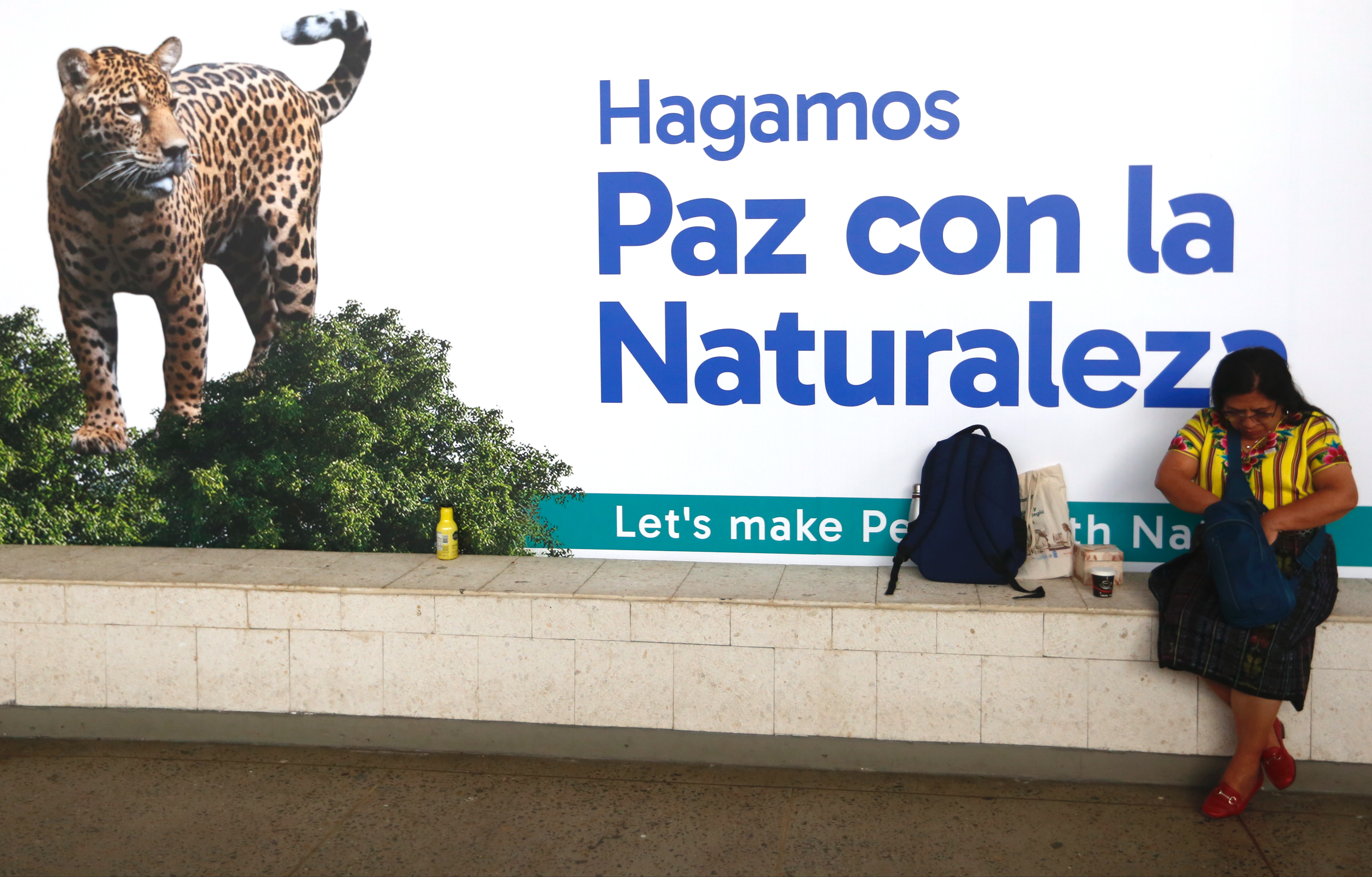 COP16: situar el medio ambiente en el centro de la construcción de paz