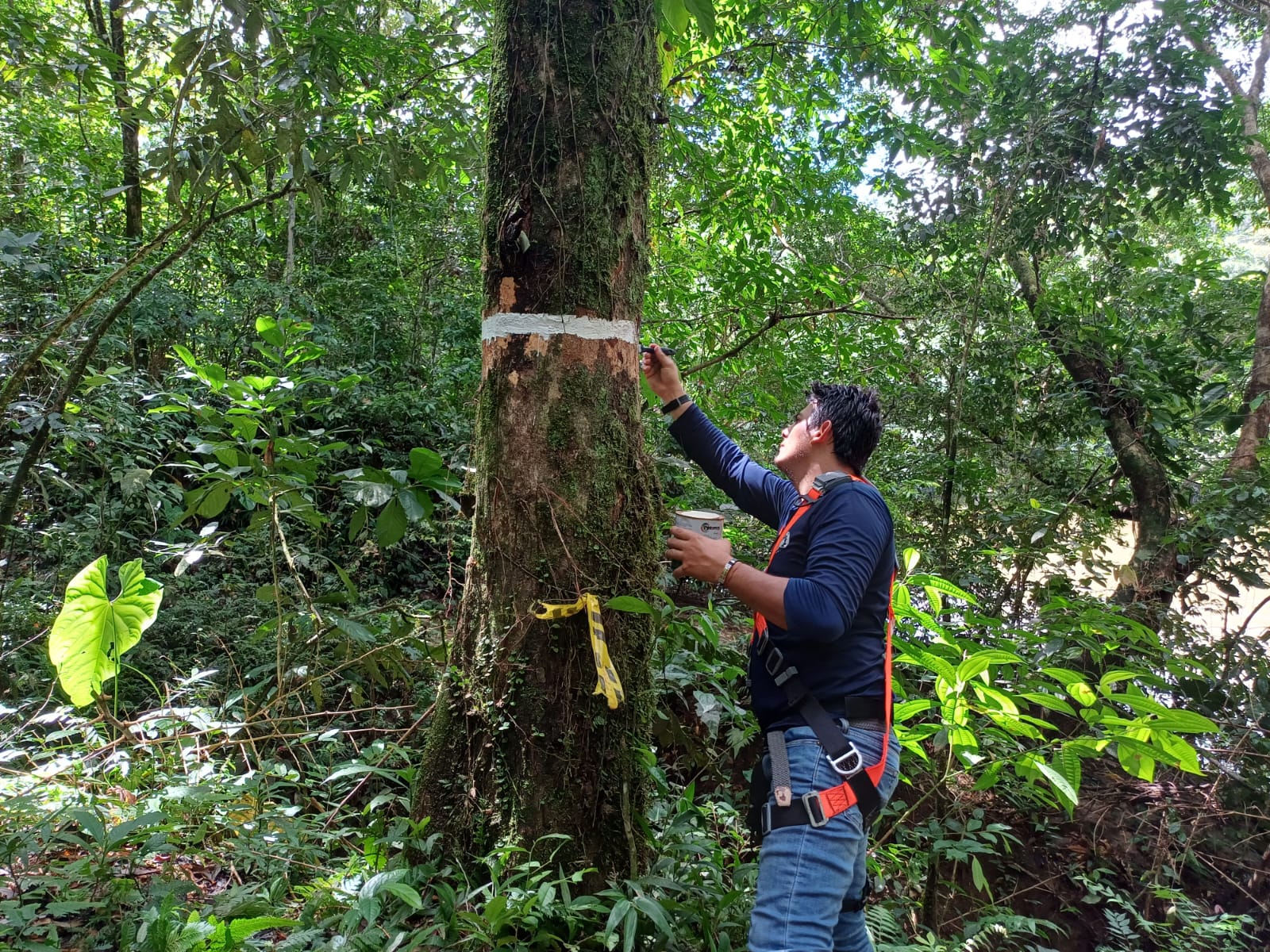 Aliviane el pago del predial de su finca con la gestión de la biodiversidad