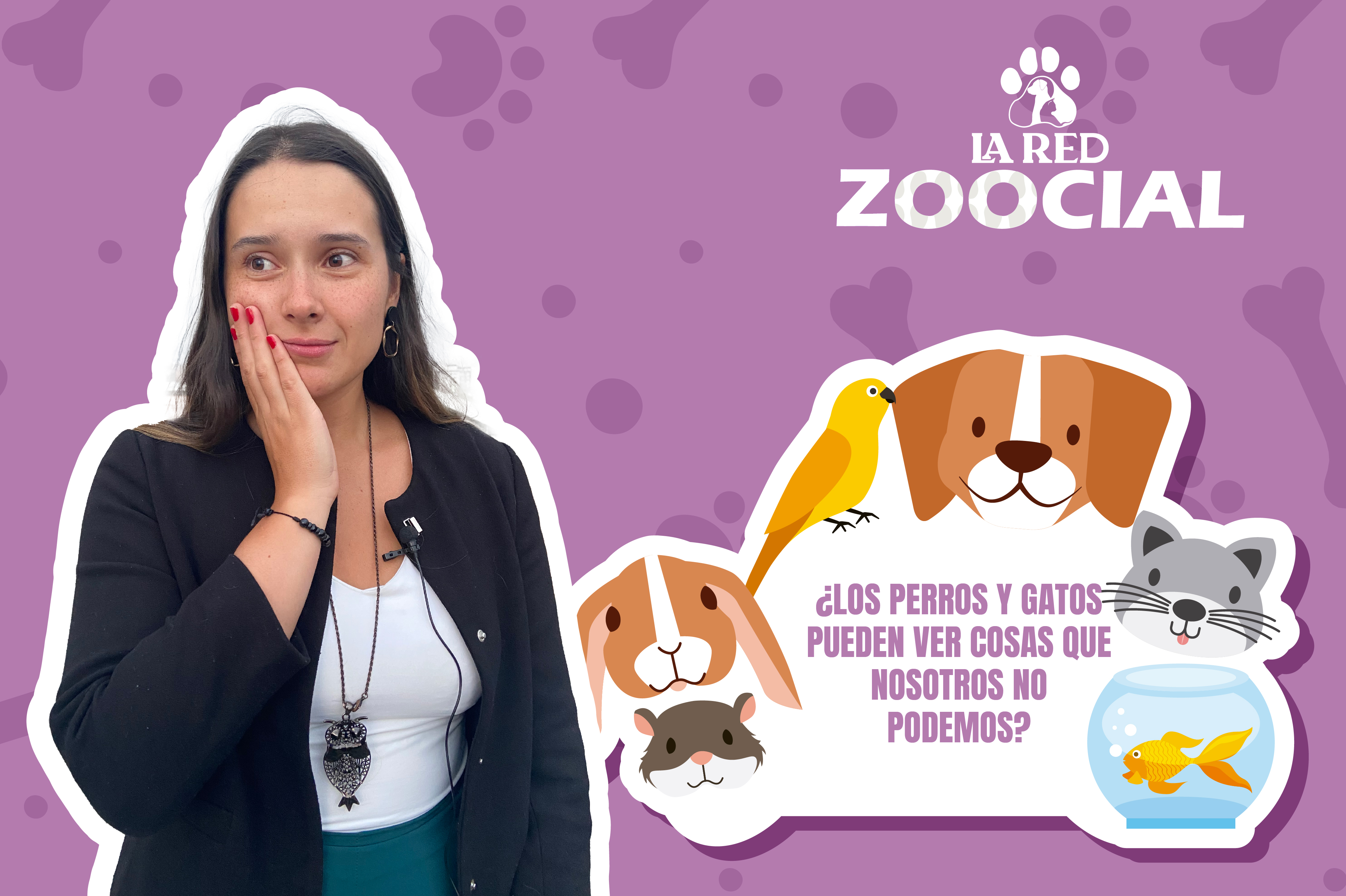 (VÍDEO) ¿Los perros y gatos pueden ver cosas que nosotros no podemos?
