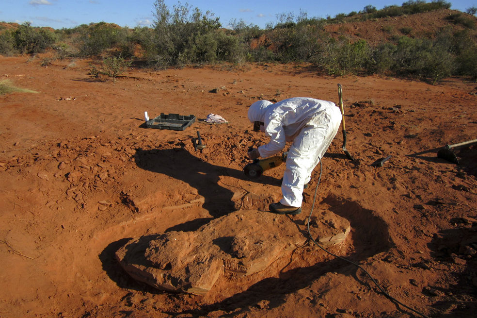 Descubren en Argentina dinosaurio gigante de más de 200 millones de años