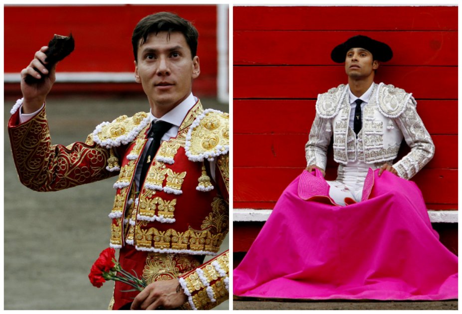 El carisma del toro y del torero