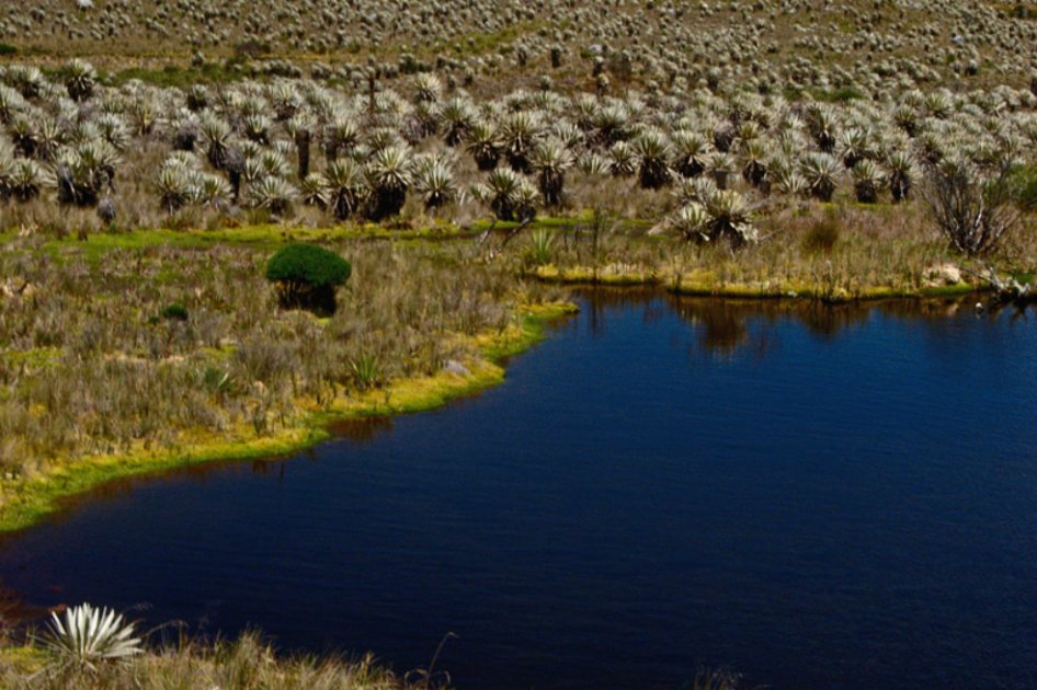Sumapaz celebra este sábado el festival del Agua
