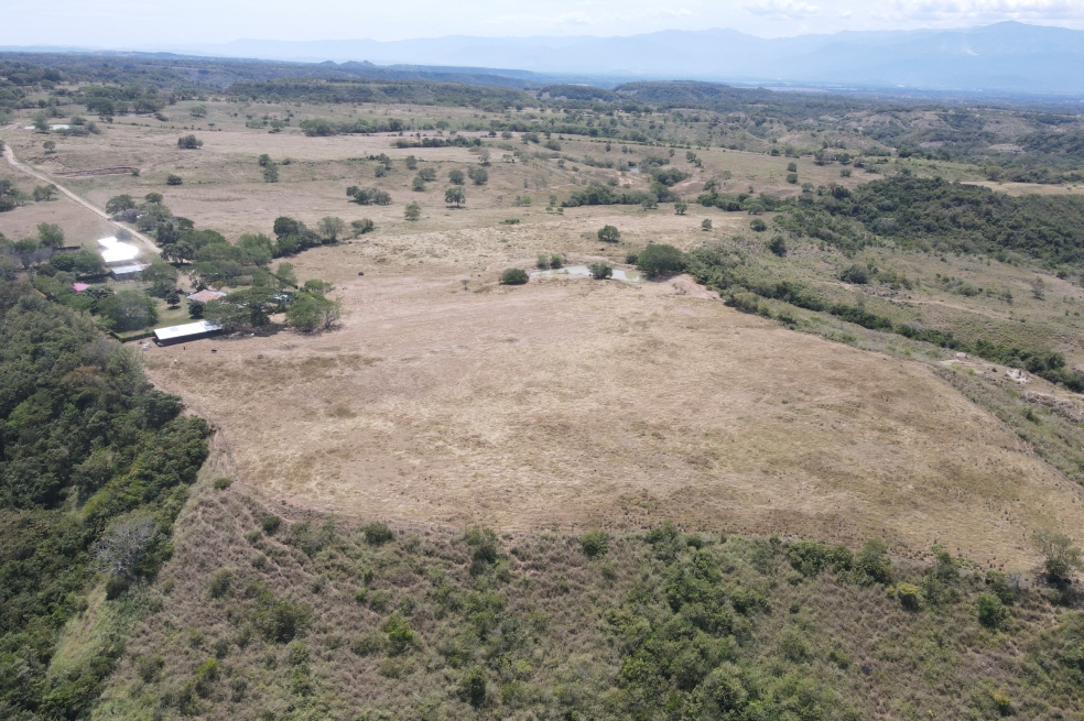 El parque se construiría en un área de 57 hectáreas en zona rural de Venadillo, Tolima.
