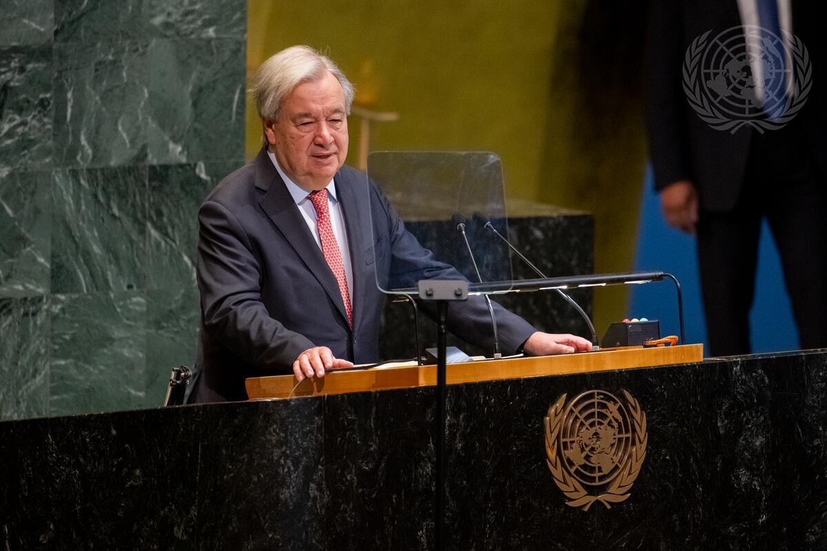 Histórico: ONU declara trata de esclavos africanos como el peor crimen contra la humanidad