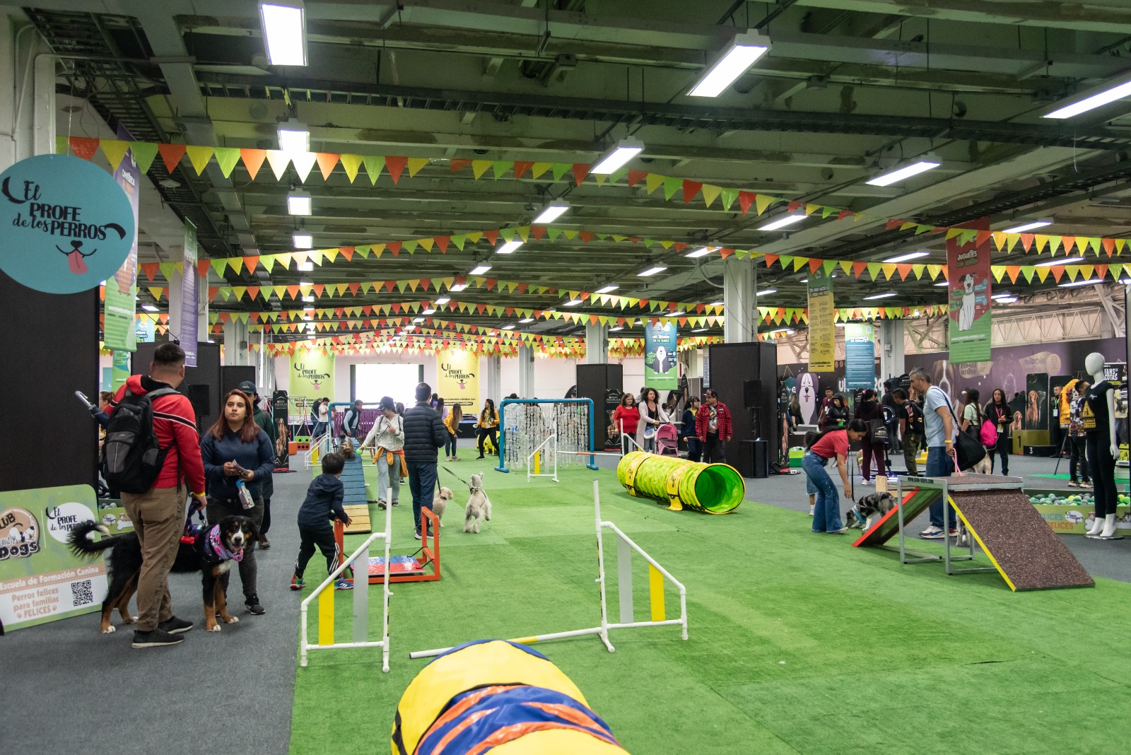 Así será la nueva edición de la Escuela de la Felicidad Canina en Expopet 2025