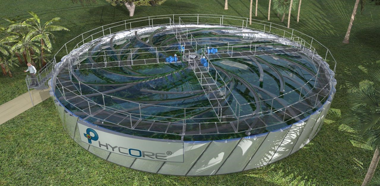 . La planta de ficocultivos en las que se producen las microalgas que se están utilizando en el departamento de Sucre, es la más grande de Latinoamérica y produce un estimado entre 10 mil y 12 mil galones de concentrado de microalgas al día.Cortesía