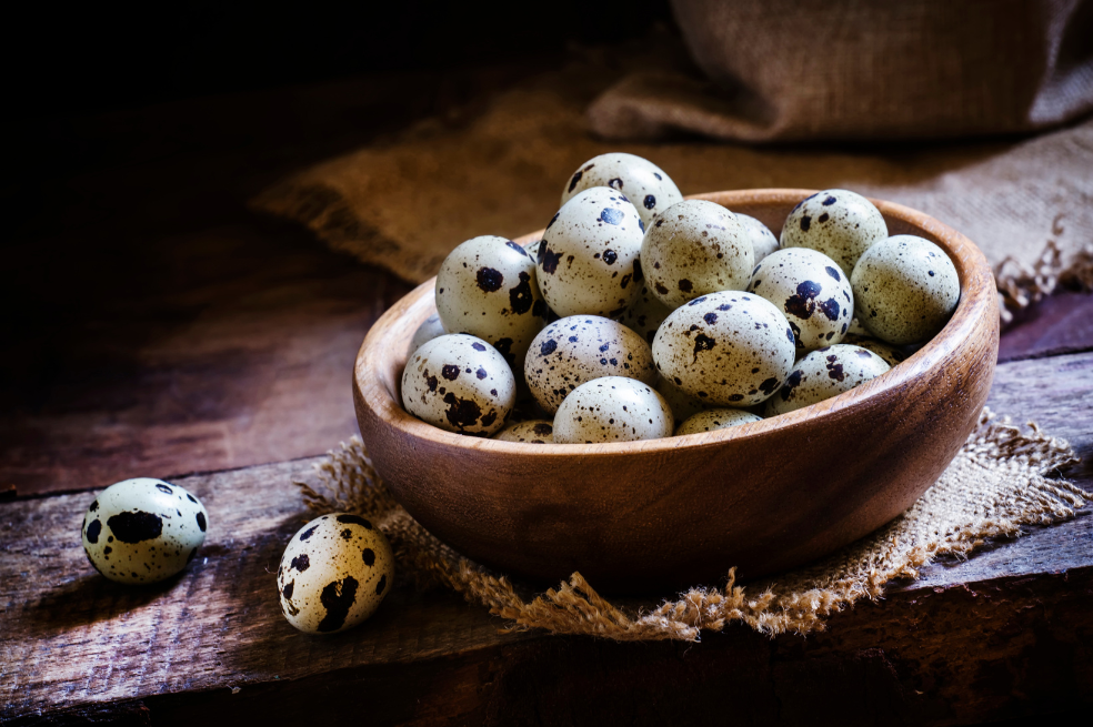 ¿Cómo cocinar huevos de codorniz? Esta fácil receta te encantará