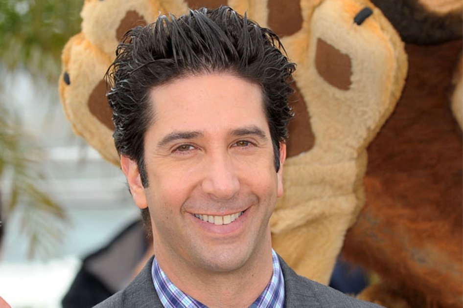 David Schwimmer.