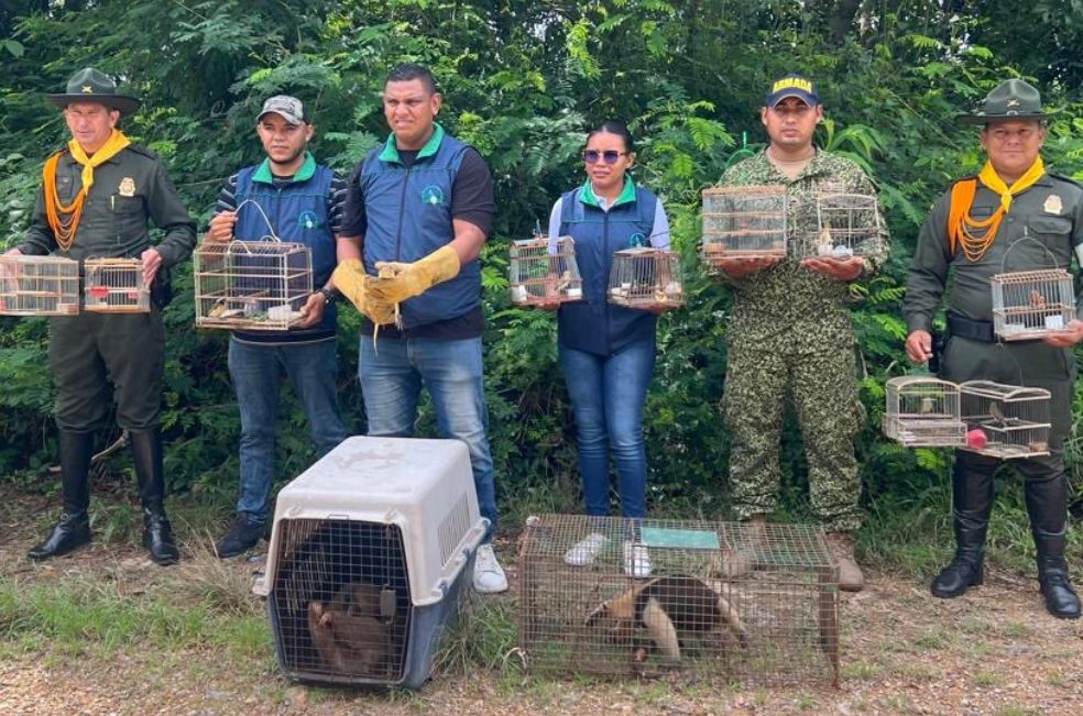 Más de 107 animales fueron rescatados en operativos contra el tráfico ilegal
