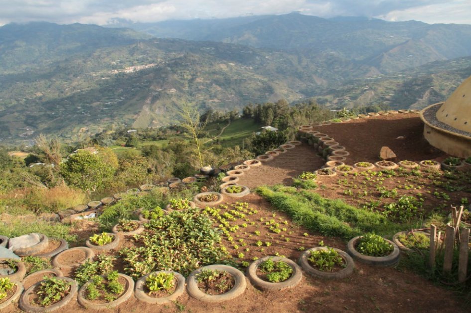 500 voluntarios buscan transformar las regiones que abandonan las Farc