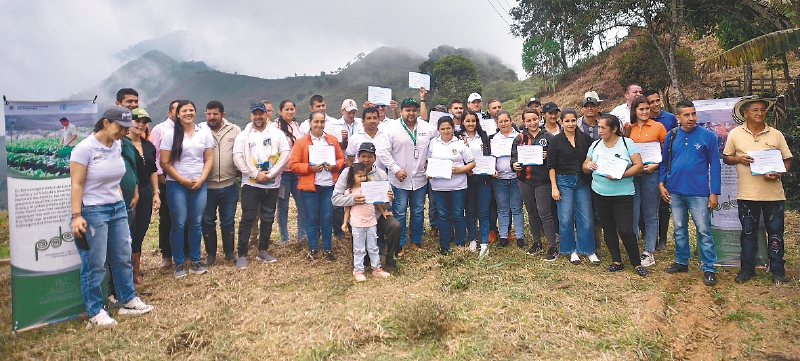 Siembra de cacao, café y árboles impulsan la paz en Sardinata, Norte de Santander
