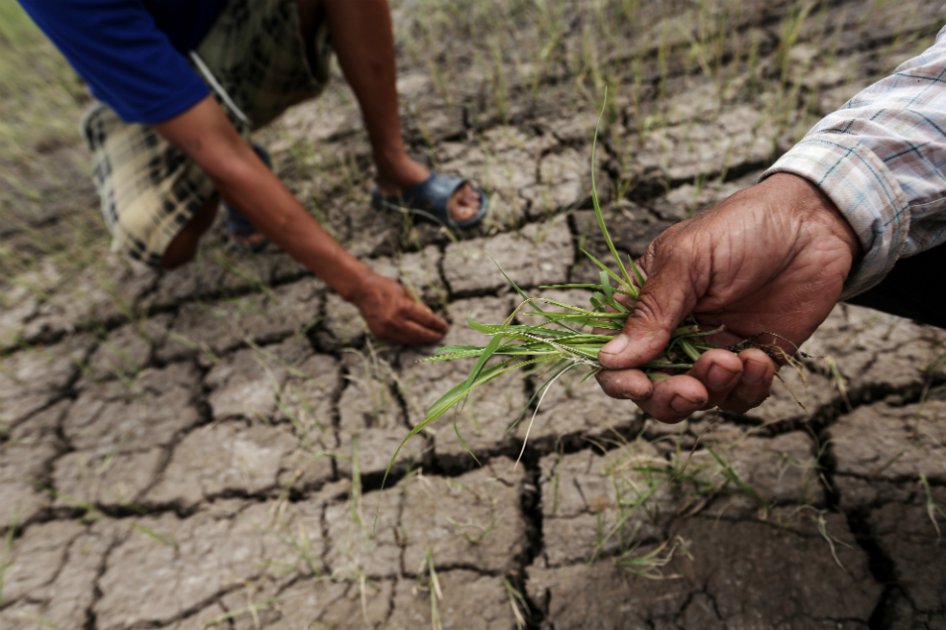 Perú se prepara para el llanto de El Niño sobre su territorio