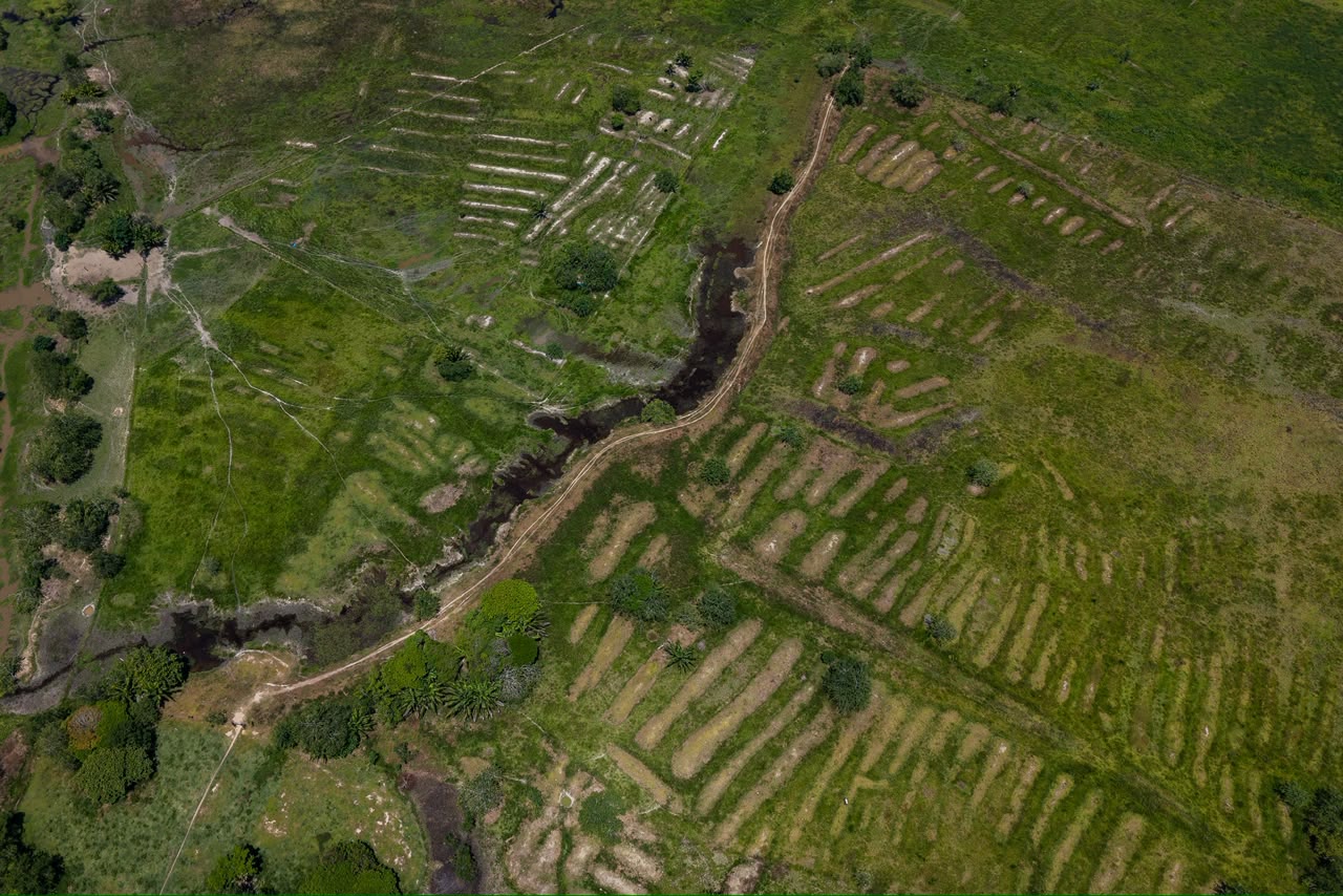 Colombia protege 340.000 hectáreas del sistema hidráulico prehispánico de La Mojana