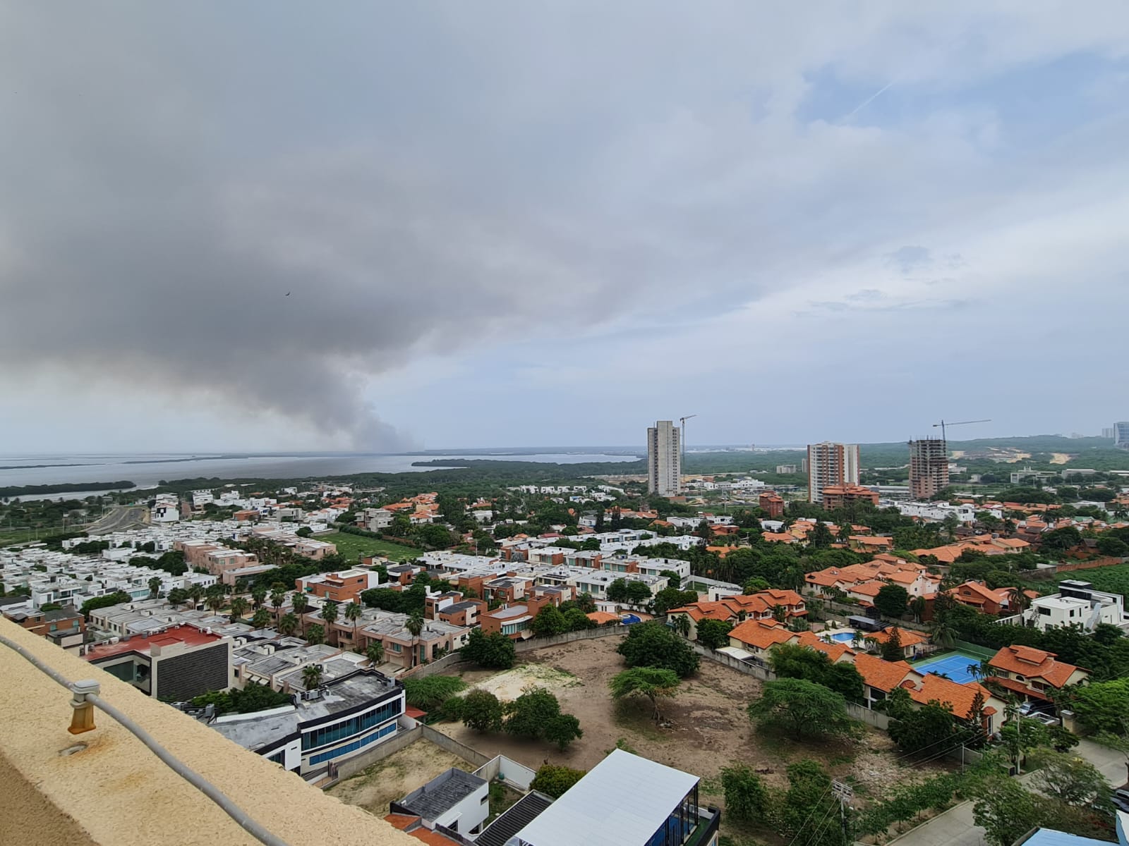 Reportan incendio en el área protegida Vía Parque Isla de Salamanca