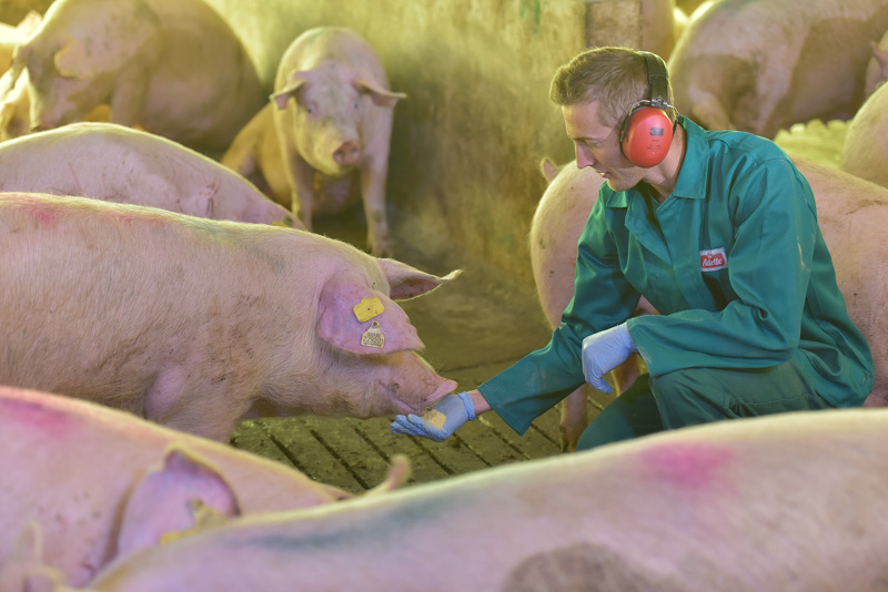Las claves de Brasil para ser una potencia agroalimentaria: ¿qué le dice a Colombia?