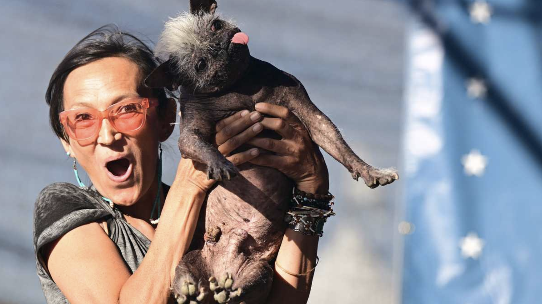 “Sr. Rostro Feliz”: así es el perro más feo del mundo