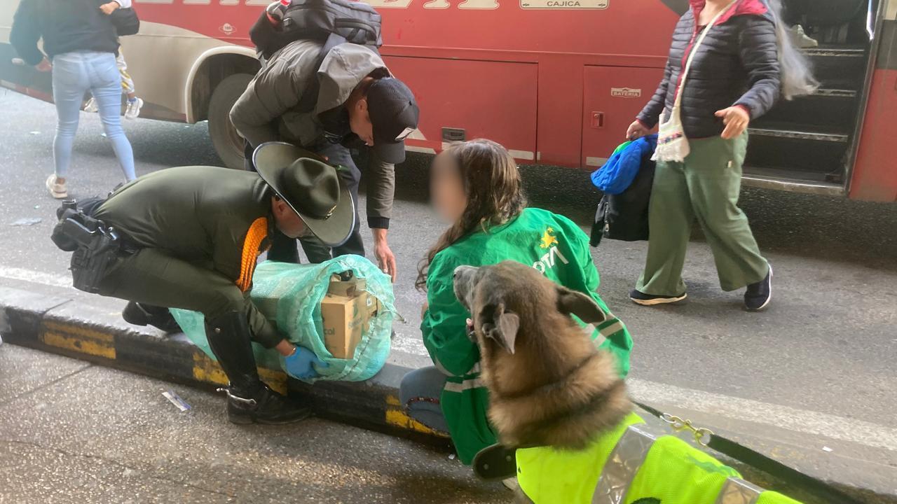 Cuatro capturados por tráfico ilegal de fauna silvestre en el aeropuerto El Dorado