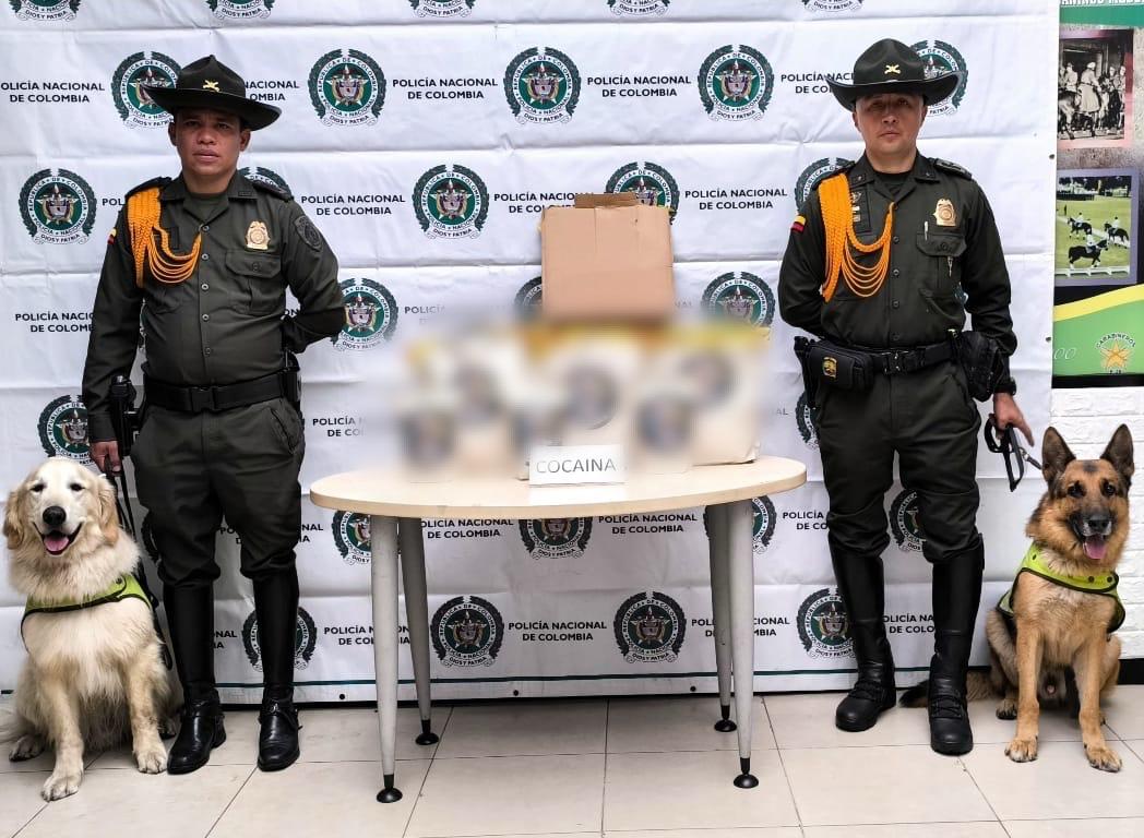 Perros antinarcóticos facilitaron incautación de 10 kilos de cocaína en El Dorado