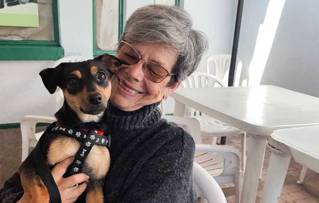 Animales entrenados acompañarán a adultos mayores en Bogotá: así funciona el programa