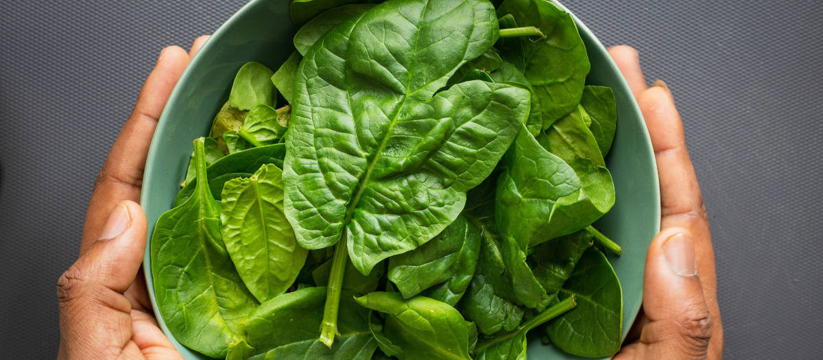 Recetas con espinacas: 3 opciones para aprovechar esta verdura