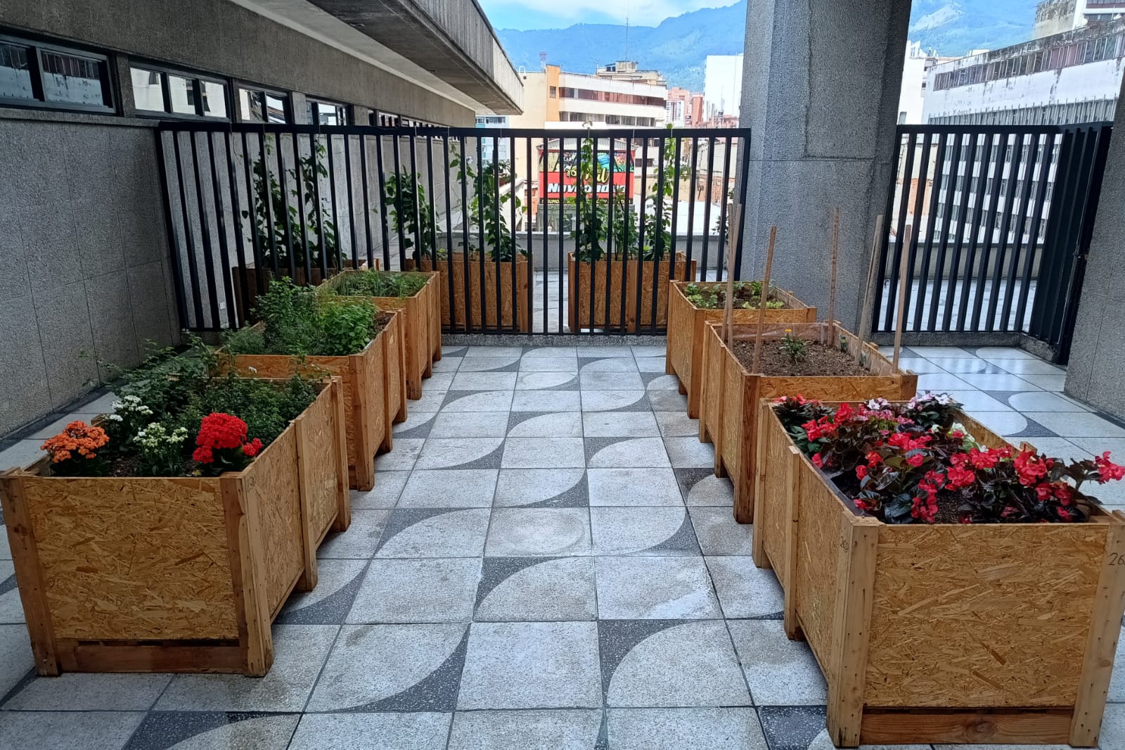 Una huerta florece en el corazón de Medellín: el nuevo espacio del Centro Cultural