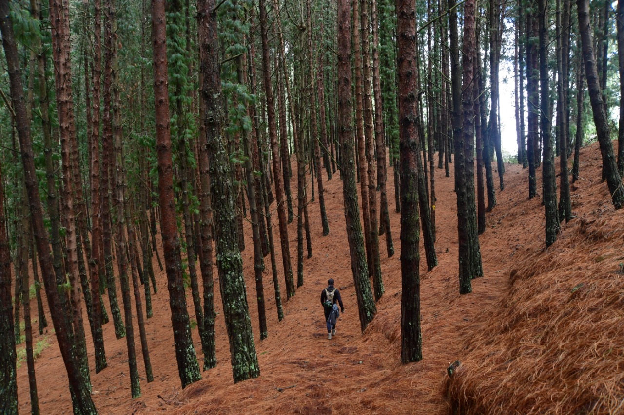 Vuelven a cerrar el sendero de la quebrada La Vieja en Bogotá