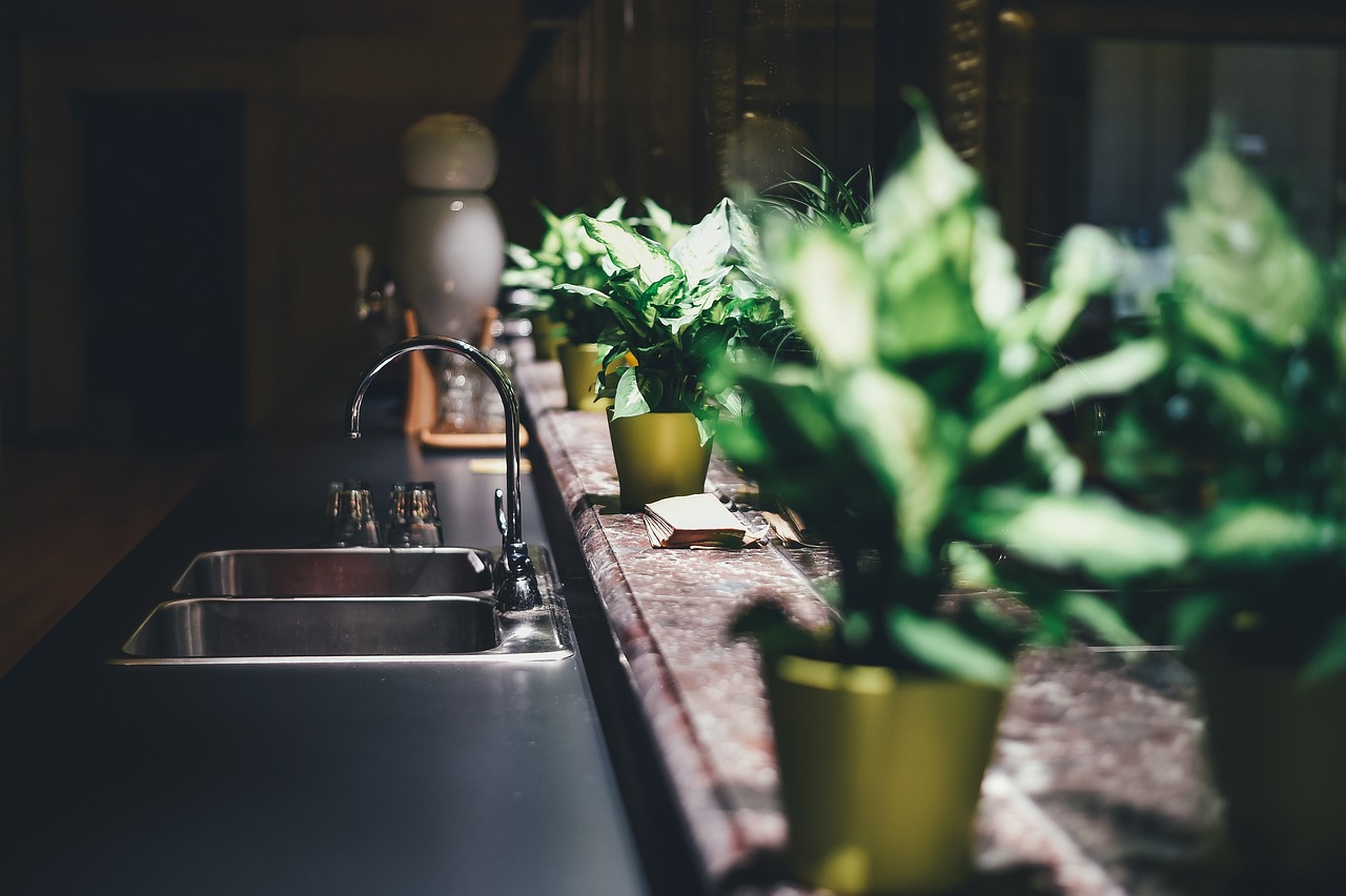¿Qué tipos de plantas de interior son las mejores purificadoras de aire?