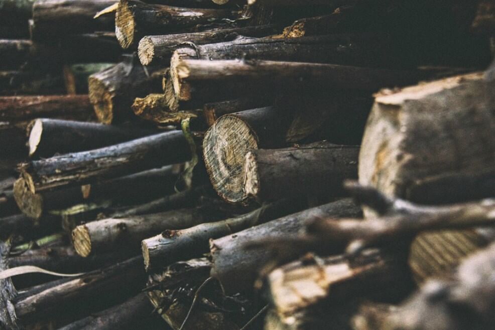$2 mil millones irán a un piloto de lucha contra la deforestación