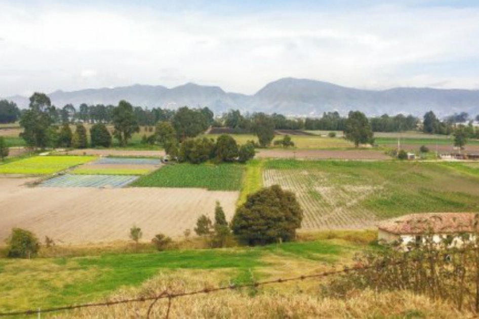 «A Peñalosa le importa más el cemento que una reserva ambiental»: Armando Benedetti