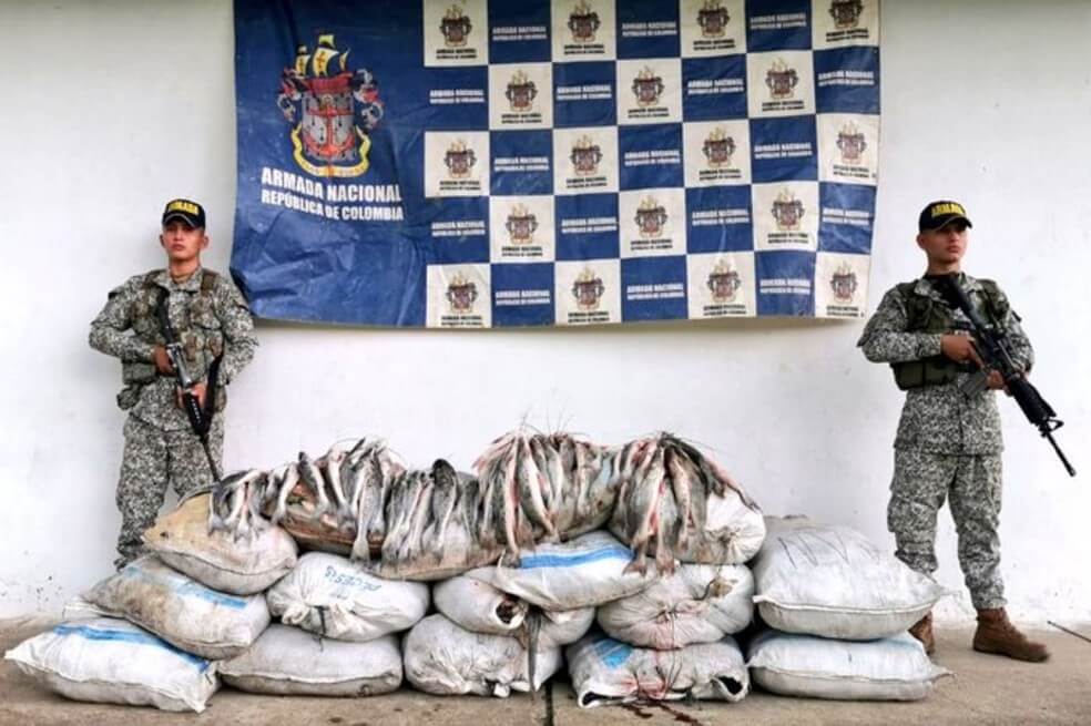 Más de una tonelada de pescado contaminado con mercurio fue decomisado en Putumayo